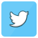 twitter icon